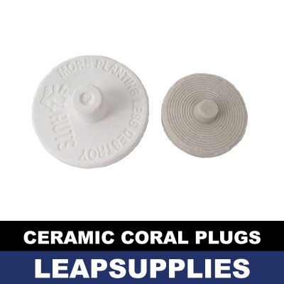 Ceramic Coral Plugs