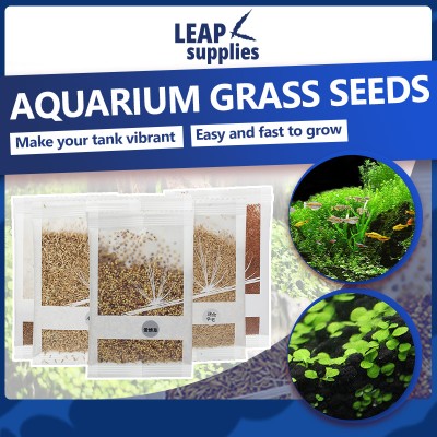 Aquarium Grass Seeds