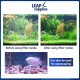 LEAP Fish Tank Filter Media 12-in-1 (500g)
