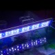 LEAP Aquarium Adjustable Length LED Light