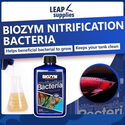 Biozym Nitrification Bacterial