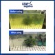 BD Aquarium Magic Purifying Powder