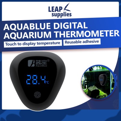  JEBO Aquarium and Ambient Temperature in and Out Digital  Thermometer : Pet Supplies