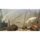 HAILEA Submersible Water Pump