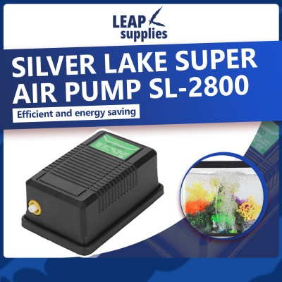 Silver Lake Super Air Pump