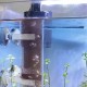 Brine Shrimp Incubator