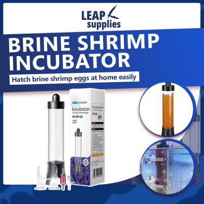 Brine Shrimp Incubator