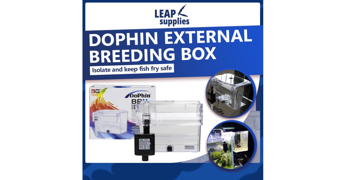 Dophin External Breeding Box LEAPsupplies Singapore