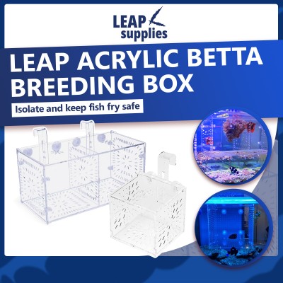 LEAP Acrylic Betta Breeding Box