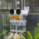 LEAP Aquarium Isolation Box